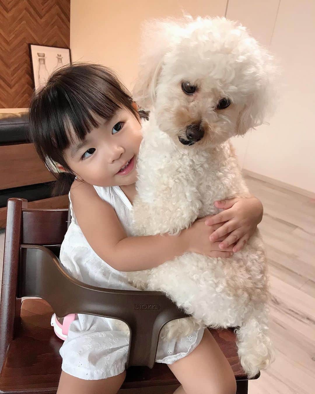 のインスタグラム：「#pet 🐶 ． ． なかなか登場率が少なくなってしまったアモですが、元気です☺️🙌💕 やーーーーーっと少しずつLILIに慣れてきて、たまになでなでしたり、ぎゅうをさせてくれるようになりました🤣 時間かかったなぁ〜笑 ． #アモ#トイプードル#トイプー#LILI#子供と犬#子供と犬の生活#ペット#犬と赤ちゃん#犬と子供#ママリ#コドモノ#ベビフル#ベビリトル#コドモダカラ#コノビー#イットママ#2歳#赤ちゃんのいる生活#癒し」