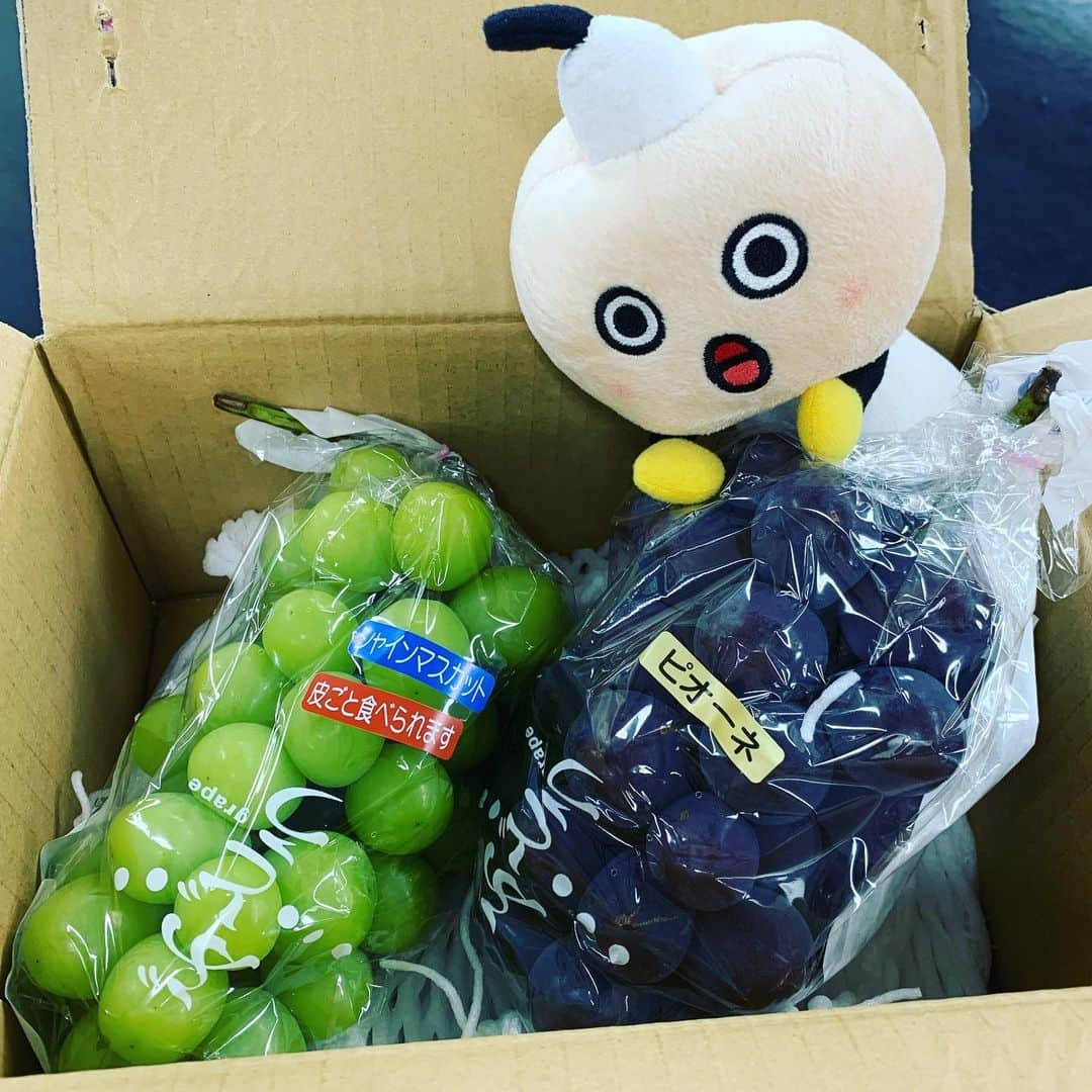 DJ AIKO 62さんのインスタグラム写真 - (DJ AIKO 62Instagram)「最高な幸せが届きました😍 心よりありがとうございます😊  #シャインマスカット #ピオーネ #djaiko62 #幸せ #ジューシー #🍇 #差し入れフルーツ #産地直送 #産直 #ありがとうございます #thankyou #たわわちゃん #今日もスタジオにはたわわちゃん」9月9日 19時02分 - djaiko62