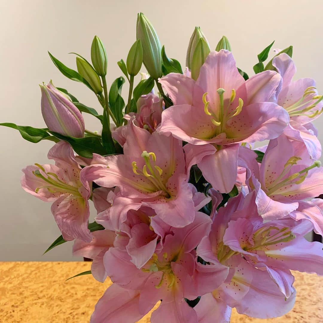 中林美和さんのインスタグラム写真 - (中林美和Instagram)「ユリのお花は本当にいい香り。 ダイニングとキッチンが 華やかな香りで広がっているのが嬉しくて、 香りを拾うように 思わずクンクンして歩いてしまう♡笑  今週も盛りだくさんですが がんばりましょう！♡ . #花のある暮らし#ユリ#lily」9月9日 11時06分 - miwanakabayashi