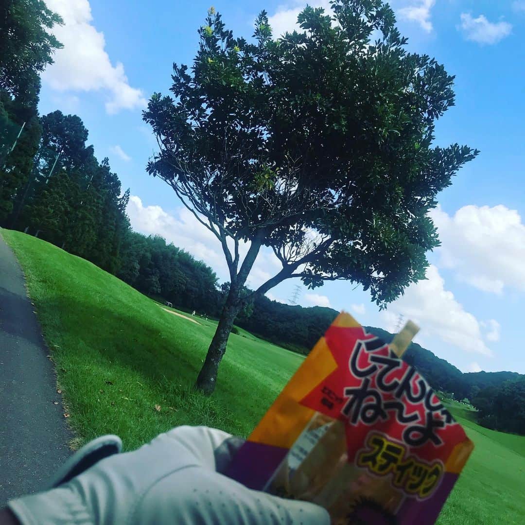 TOGGYのグルメインスタ