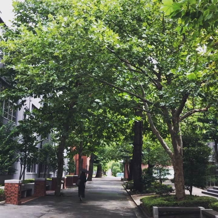 立教大学のグルメインスタ