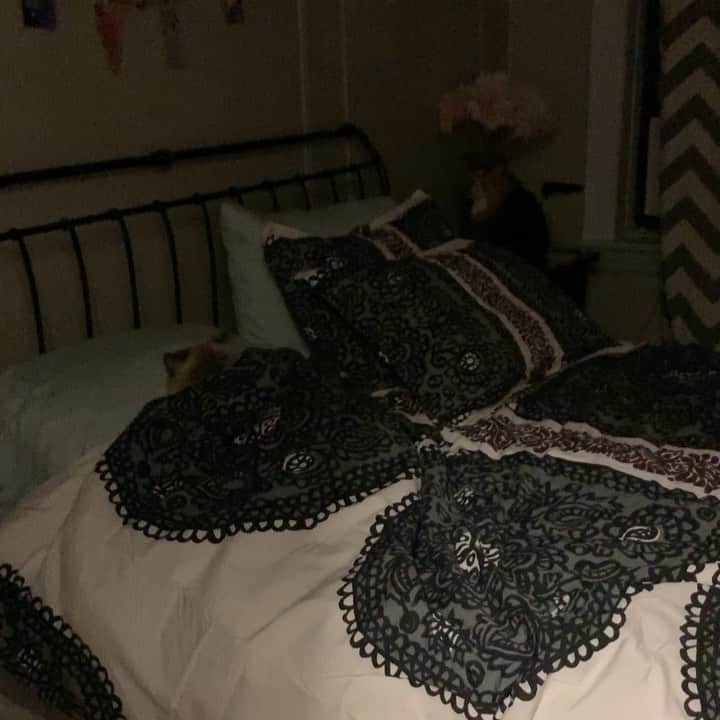 Tinaのインスタグラム：「Sunday night blues 🤪」