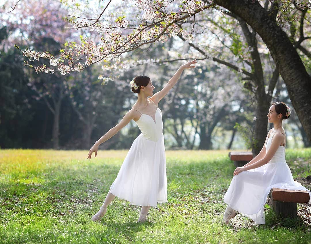 Photographer_善甫(선보)さんのインスタグラム写真 - (Photographer_善甫(선보)Instagram)「여름이 지나자마자 봄이 그리워진다 🌼 꽃들은 어디에...」9月9日 12時07分 - sunbostyle