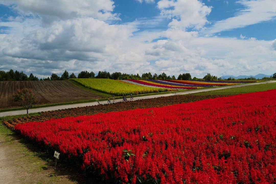 RCEOのグルメインスタ