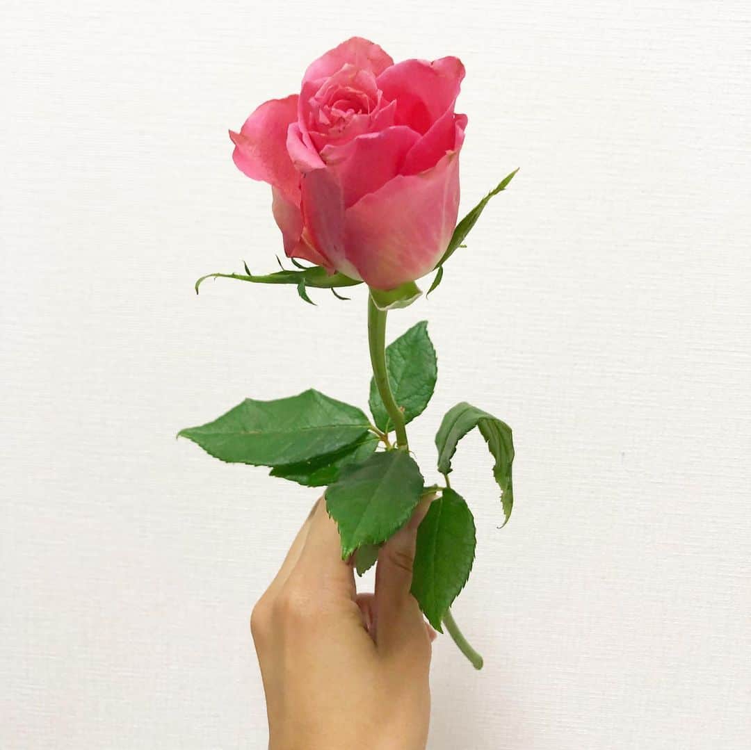 片桐優妃のインスタグラム