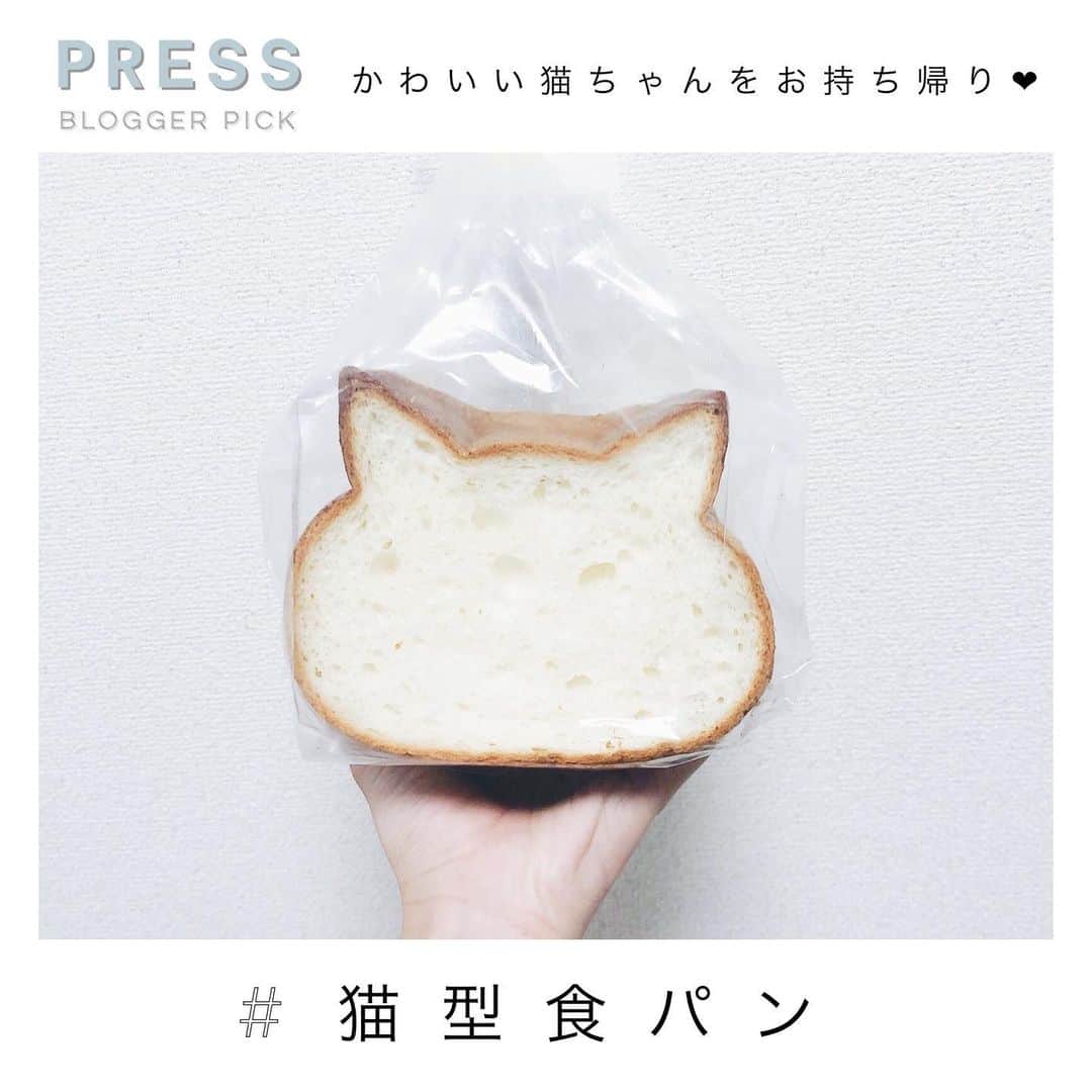 PRESSさんのインスタグラム写真 - (PRESSInstagram)「最近のトレンドでもある"食パン"を﻿ 美味しいだけでなく、可愛く食べられる🍞❤︎﻿ ﻿ PRESS blogger の﻿ ましろさん @mashiro_photo__ が﻿ ブログでご紹介してくれた﻿ ﻿ 🐈🍞猫型食パン🍞🐈 をぜひチェック！﻿ ﻿ <shop data>﻿ 『ブルージン』﻿ 住所：大阪市北区芝田1－1－35（大阪新阪急ホテル内地下1階）﻿ Tel：06-6372-5101﻿ ﻿ 『パティスリー・アンフィニ』﻿ 住所：東京都武蔵野市吉祥寺本町2-4-14﻿ Tel：0422-21-9817﻿ ﻿ ﻿ ——————————————————﻿ ﻿ お気に入りの写真に @pressblog #pressblog をㅤ﻿ タグ🏷して投稿してください♡﻿ PRESS公式アカウントでㅤ﻿ あなたのアカウントをご紹介致します! ㅤ﻿ ㅤ﻿ ——————————————————﻿ ﻿ #カフェ #カフェ巡り #カフェ好き #カフェご飯 #カフェごはん #カフェめぐり #カフェスタグラム #カフェめし #カフェ活 #カフェさんぽ #カフェ部 #カフェタイム #カフェ散歩 #カフェ時間 #カフェ大好き #限定 #数量限定 #限定発売 #おうちカフェ #食パン #トースト #トーストアート #ねこ #猫」9月9日 13時40分 - press.inc