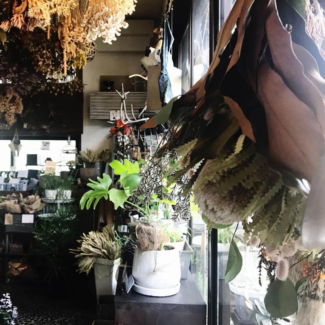 MILLE ECLAT.のグルメインスタ