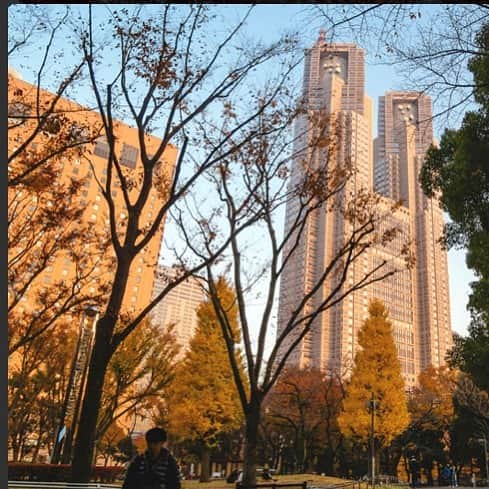 Loveinn Japanのインスタグラム：「Are you ready for AUTUMN? Timing is key to enjoying Tokyo’s best parks.  https://loveinnjapan.com/en/contents/feature_stories/3351/ #lovehoteljapan #couplehotel #japanhotels #greatdealsjapan #traveljapan2019 #hotelsjapan #japanhotelguide #hotelinjapan」