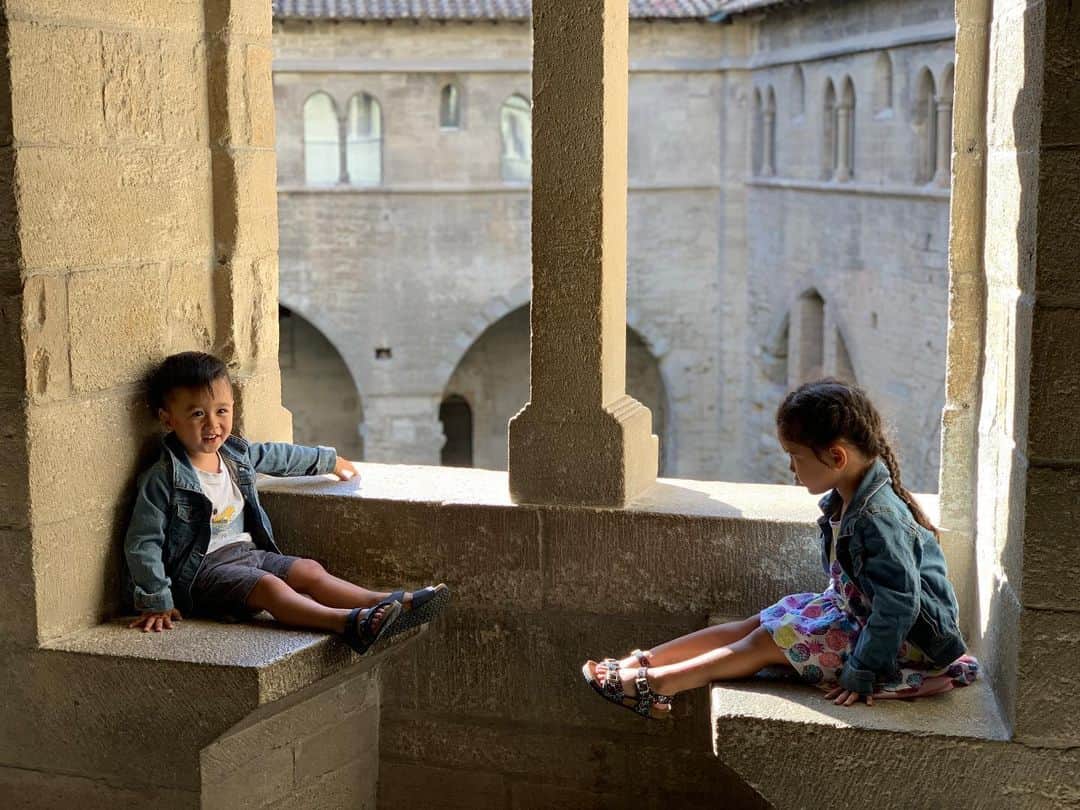 エリナ シルカのインスタグラム：「アヴィニョン🏰」