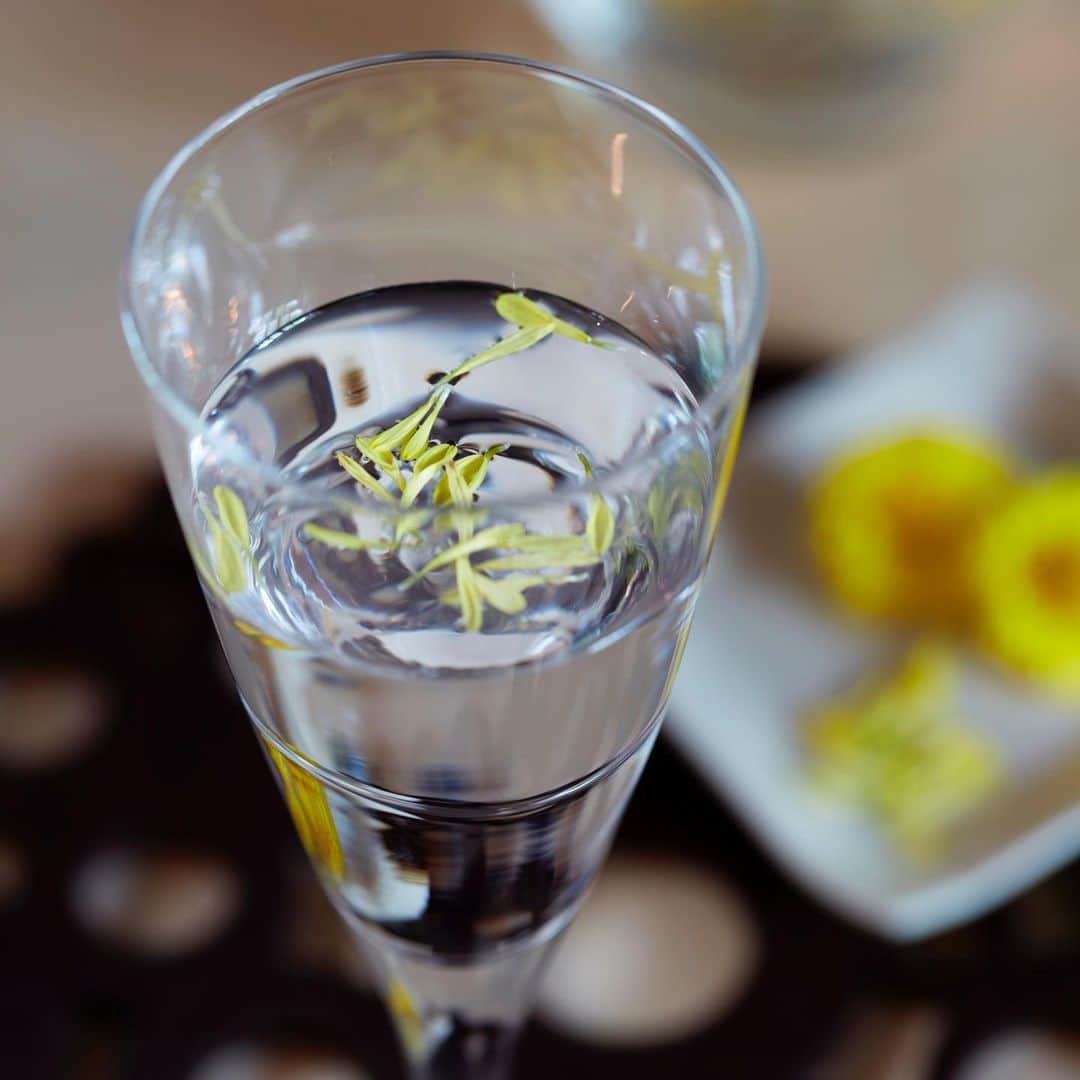 のインスタグラム：「今日9月9日は重陽の節句。「菊の節句」とも呼ばれ、この日には菊酒を飲んで長寿や健康を願ったといいます。 菊の花をお酒に浸して飲んでいたようですが、今なら食用の菊花や花びらを浮かべるといいですね✨ 先人に倣い、秋の訪れを感じながら長寿と健康を願ってみましょう。  #白鹿 #日本酒 #酒 #菊 #菊酒 #西宮 #重陽の節句 #秋 #hakushika #sake #chrysanthemum #autumn #fall #nishinomiya」