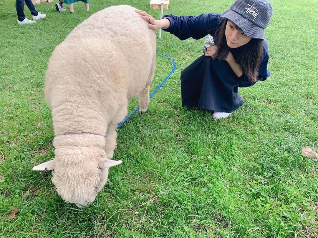 大友花恋さんのインスタグラム写真 - (大友花恋Instagram)「わーい、ひつじだー。 もふもふだーい。 あ、こりゃ、眠くなっちゃうよ🐑」9月9日 16時39分 - karen_otomo