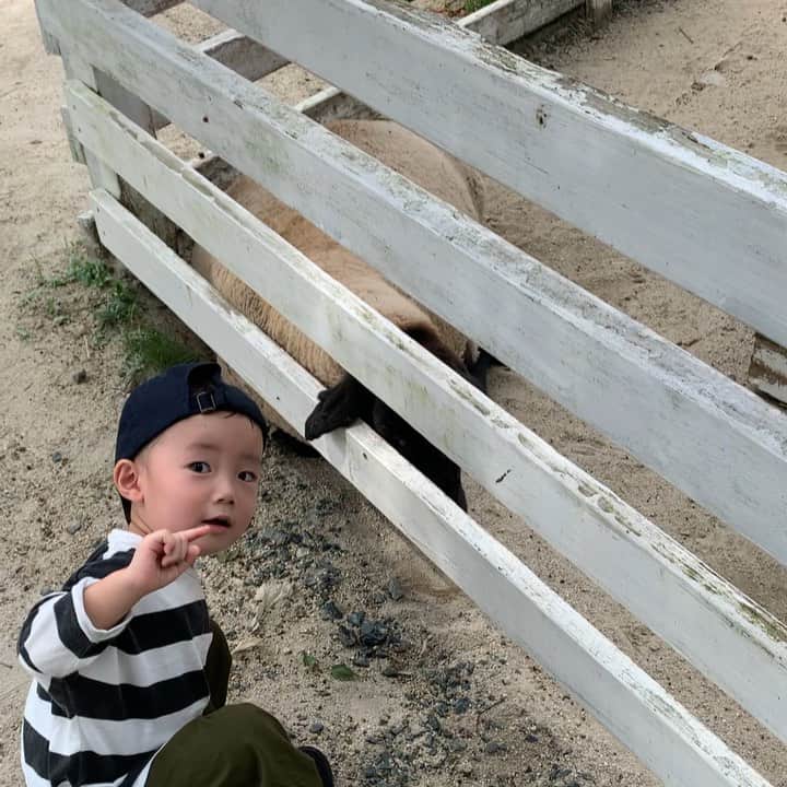 田中真奈美のグルメインスタ