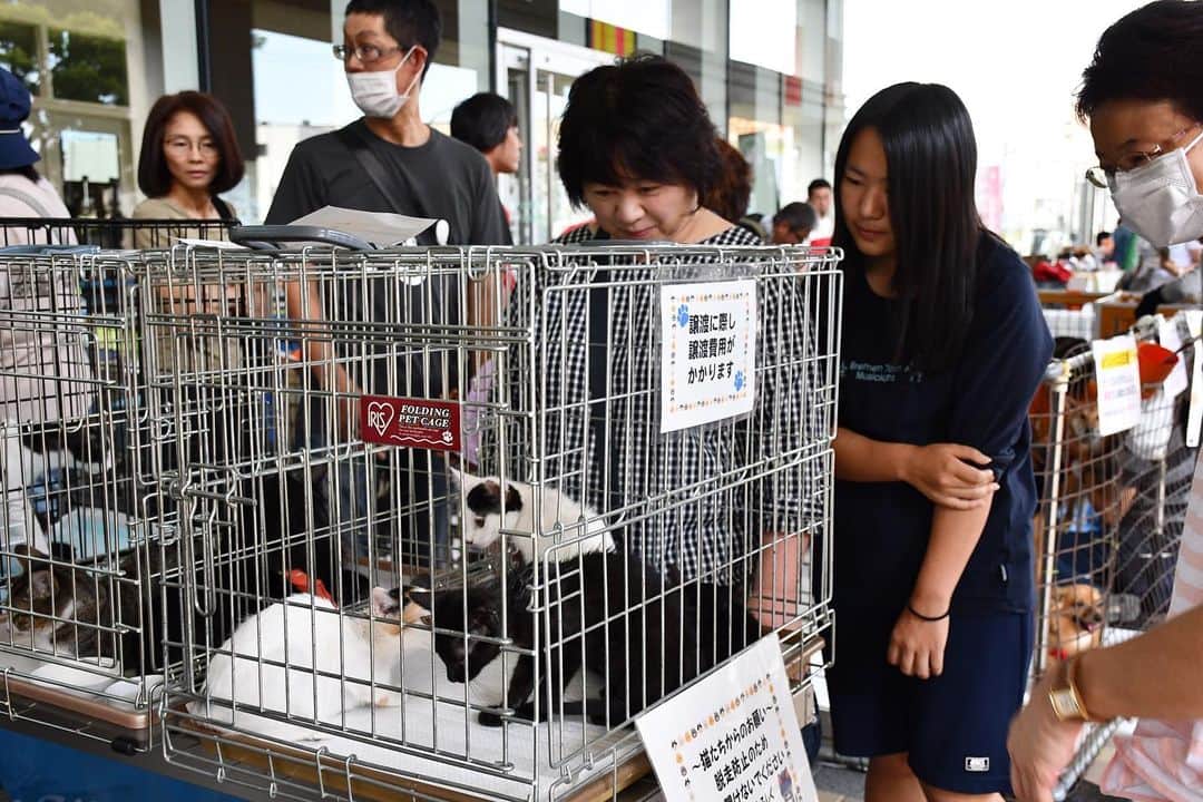 平塚市のグルメインスタ