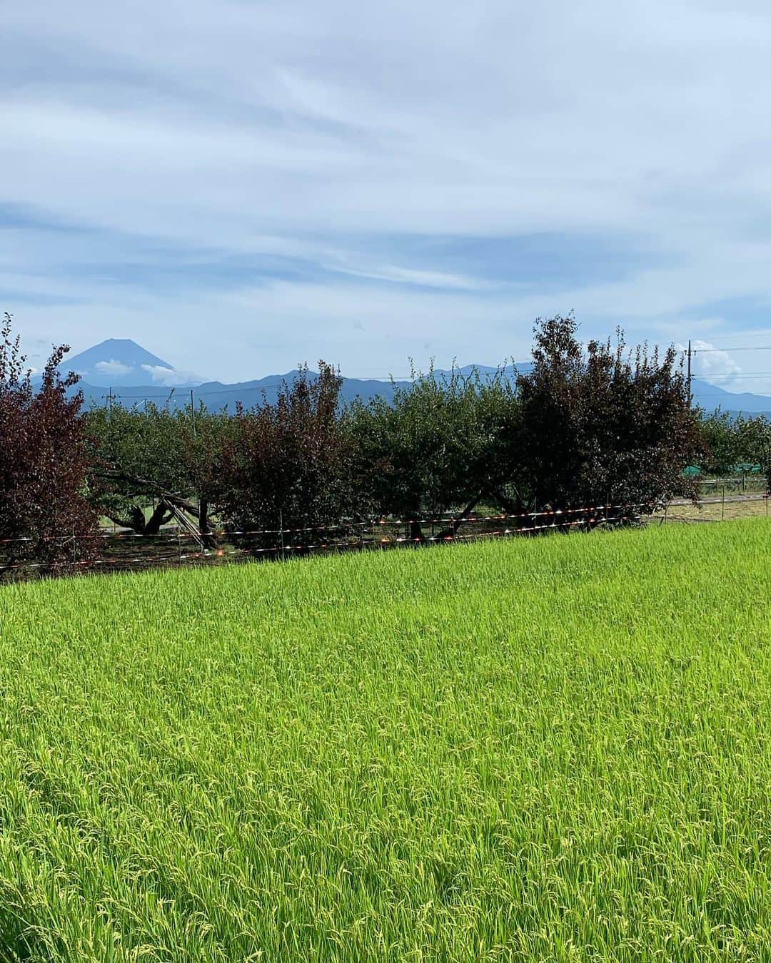 のインスタグラム：「田んぼから観る富士山も好き！ #山梨 #南アルプス市 #農作業 #農業女子 #やまなし農業女子 #田んぼ #やまなし大使 #浅利そのみ」