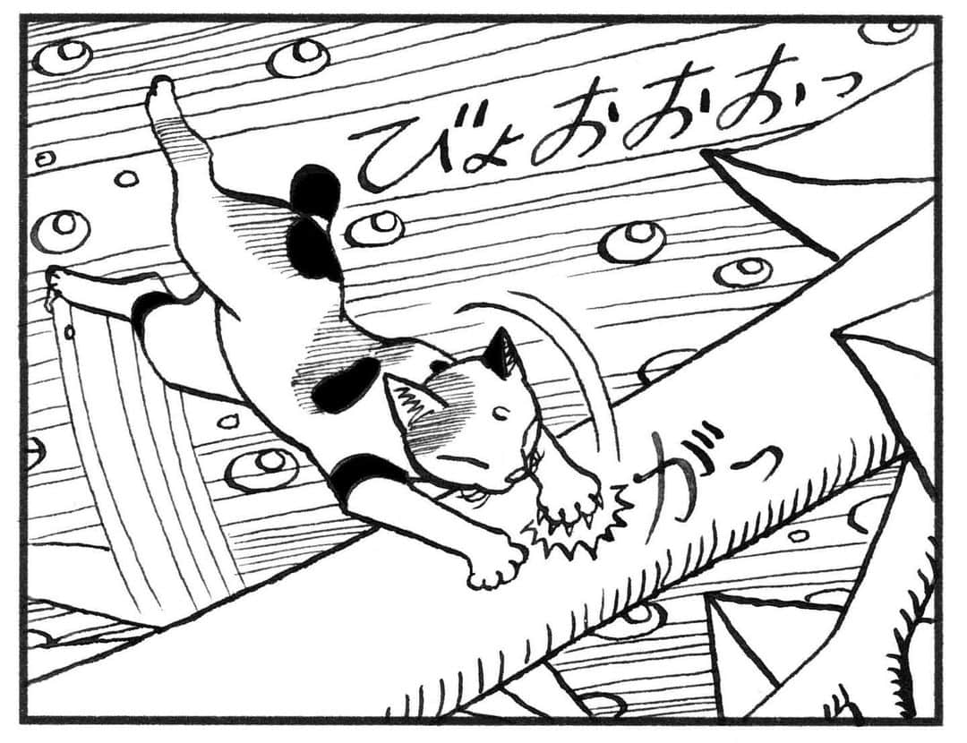 相原コージさんのインスタグラム写真 - (相原コージInstagram)「台風の日はこびとねこも大変。『こびとねこ』絶賛発売中です。 #こびとねこ #漫画 #ねこ漫画 #台風 #ねこ #小小猫 #thumbcat  #cat #manga #typhoon  #comic」9月9日 17時30分 - kojiaihara
