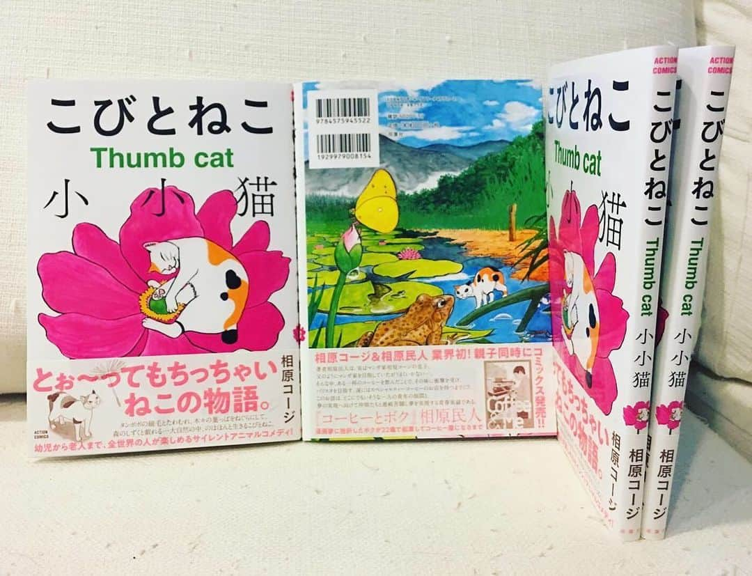 相原コージさんのインスタグラム写真 - (相原コージInstagram)「台風の日はこびとねこも大変。『こびとねこ』絶賛発売中です。 #こびとねこ #漫画 #ねこ漫画 #台風 #ねこ #小小猫 #thumbcat  #cat #manga #typhoon  #comic」9月9日 17時30分 - kojiaihara