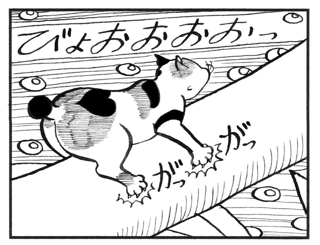 相原コージさんのインスタグラム写真 - (相原コージInstagram)「台風の日はこびとねこも大変。『こびとねこ』絶賛発売中です。 #こびとねこ #漫画 #ねこ漫画 #台風 #ねこ #小小猫 #thumbcat  #cat #manga #typhoon  #comic」9月9日 17時30分 - kojiaihara