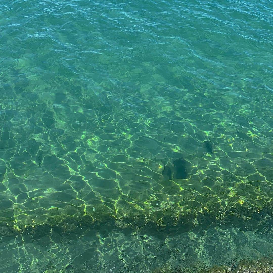 tappy1119のグルメインスタ