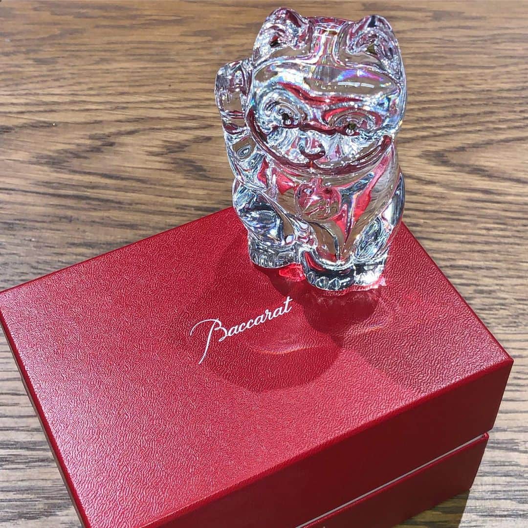 小川哲史のインスタグラム：「@baccarat の招き猫を頂きました✨ めちゃ嬉しいです😭✨ ありがとうございます🙇🏻 #baccarat」