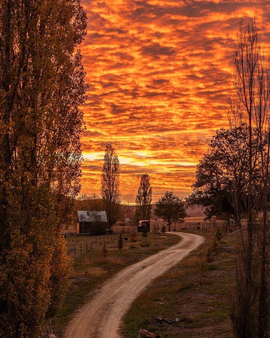 Australiaさんのインスタグラム写真 - (AustraliaInstagram)「Golden hour at #Deepwater is simply mesmerising. 🌄 @stephenglloyd watched the #sunrise in this rural town in @visitnsw’s @nehighcountry, on the bank of the #DeepwaterRiver. Like most great country towns in #Australia, you can’t leave without trying the excellent meat pie at the local bakery; follow it up with some beer tasting at @deepwaterbrewing, and a feast at @the_longhorn_bar_and_grill for some true local flavours.  #seeaustralia #newsouthwales #newenglandhighcountry #thegreatoutdoors #travel」9月10日 4時00分 - australia