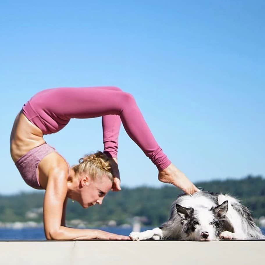 ALO Yogaさんのインスタグラム写真 - (ALO YogaInstagram)「Sometimes just spending quality time with your good friends is the only therapy you need ☺️🐶 @robinmartinyoga practices with her pup in her Dragonfruit Lounge Bra & High-Waist Airbrush Legging 🙏✨ #aloyoga #alo #yoga」9月10日 3時57分 - aloyoga