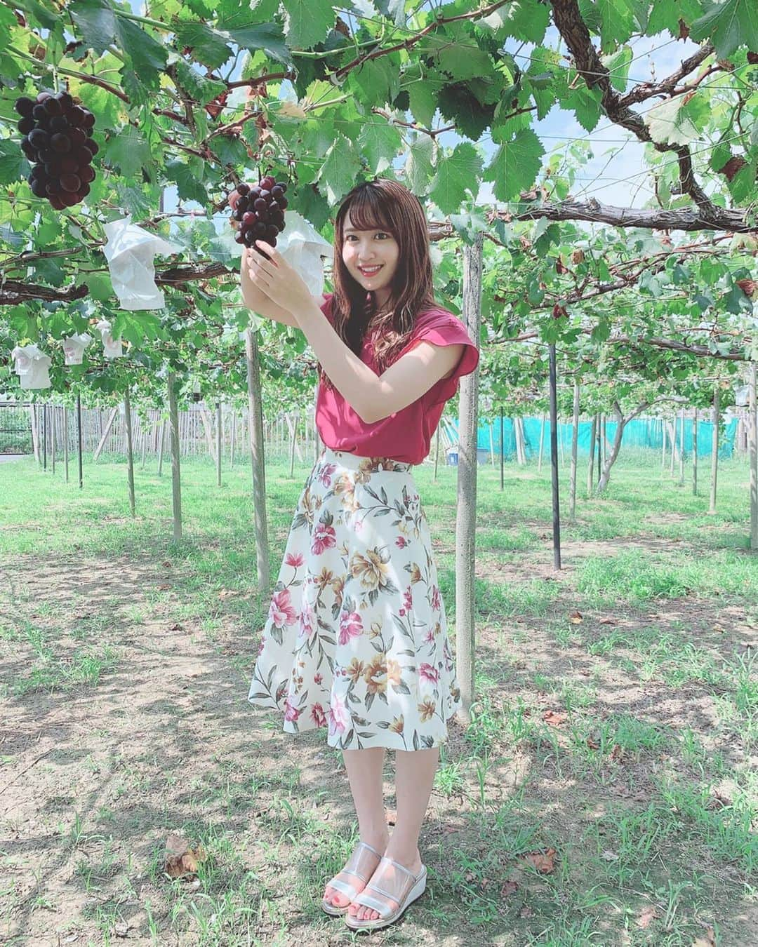 沢井里奈さんのインスタグラム写真 - (沢井里奈Instagram)「♡ . 先日、母の友人のぶどう園へ ぶどう狩りに行って来ました🍇✨ . ここのぶどうほんとに甘くて とっても美味しい🥺💕💕 . お昼からお仕事で 少しの時間しかいられなかったけど 今年も行けてよかった☺️💓💓 . . #さわーコーデ 👗🌸 clothes♡ #rirandture shoes♡ #diana . #grape #ootd #coordinate #fashion #instafashion #instagood #instagramjapan #japanesegirl #girls #팔로우 #코디 #오오티디 #ぶどう狩り #ぶどう #ぶどう園 #大府 #私服 #さわーおでかけ #沢井里奈」9月9日 20時07分 - sawairina