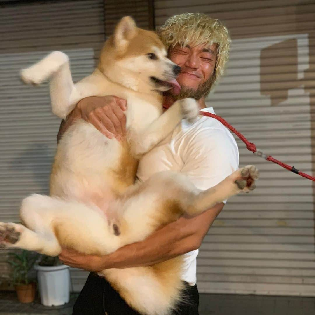 真田聖也さんのインスタグラム写真 - (真田聖也Instagram)「Love ya! #秋田犬 #akitainu」9月9日 20時46分 - seiya_sanada