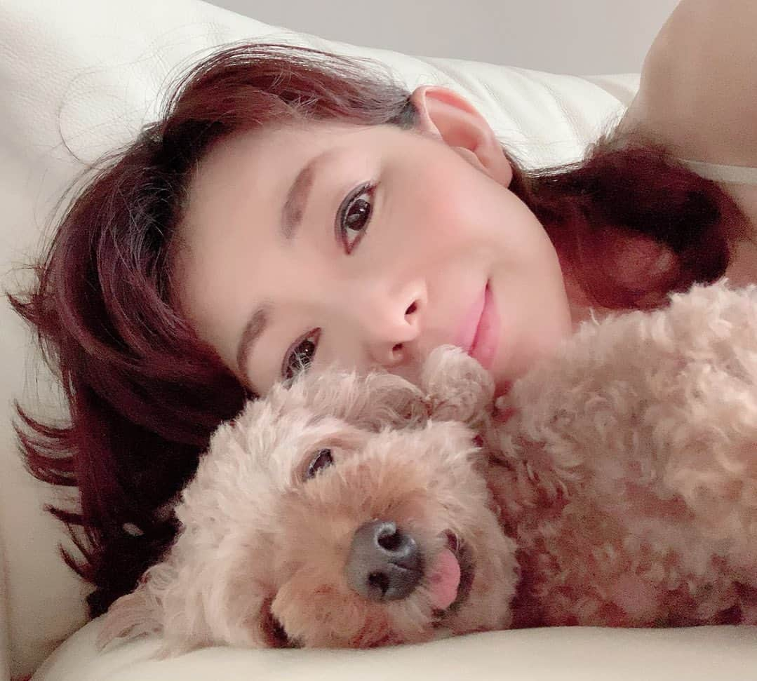 荒生暁子さんのインスタグラム写真 - (荒生暁子Instagram)「パコちゃん🐶 長崎のおばあちゃんちから 帰って来ました。 かわいい娘。おかえりなさい。 手作りご飯で甘やかされまくりだったので すっかりわがまま娘。 いつものドッグフード食べません！ 困ったなぁー。 #パコちゃん#トイプードル#甘えん坊 #愛犬家#甘やかされわんこ #ペット#犬好き#パコ」9月9日 21時21分 - akikoarao0904