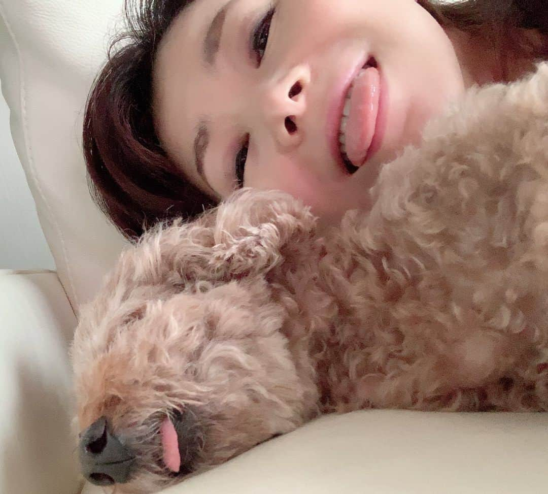 荒生暁子さんのインスタグラム写真 - (荒生暁子Instagram)「パコちゃん🐶 長崎のおばあちゃんちから 帰って来ました。 かわいい娘。おかえりなさい。 手作りご飯で甘やかされまくりだったので すっかりわがまま娘。 いつものドッグフード食べません！ 困ったなぁー。 #パコちゃん#トイプードル#甘えん坊 #愛犬家#甘やかされわんこ #ペット#犬好き#パコ」9月9日 21時21分 - akikoarao0904