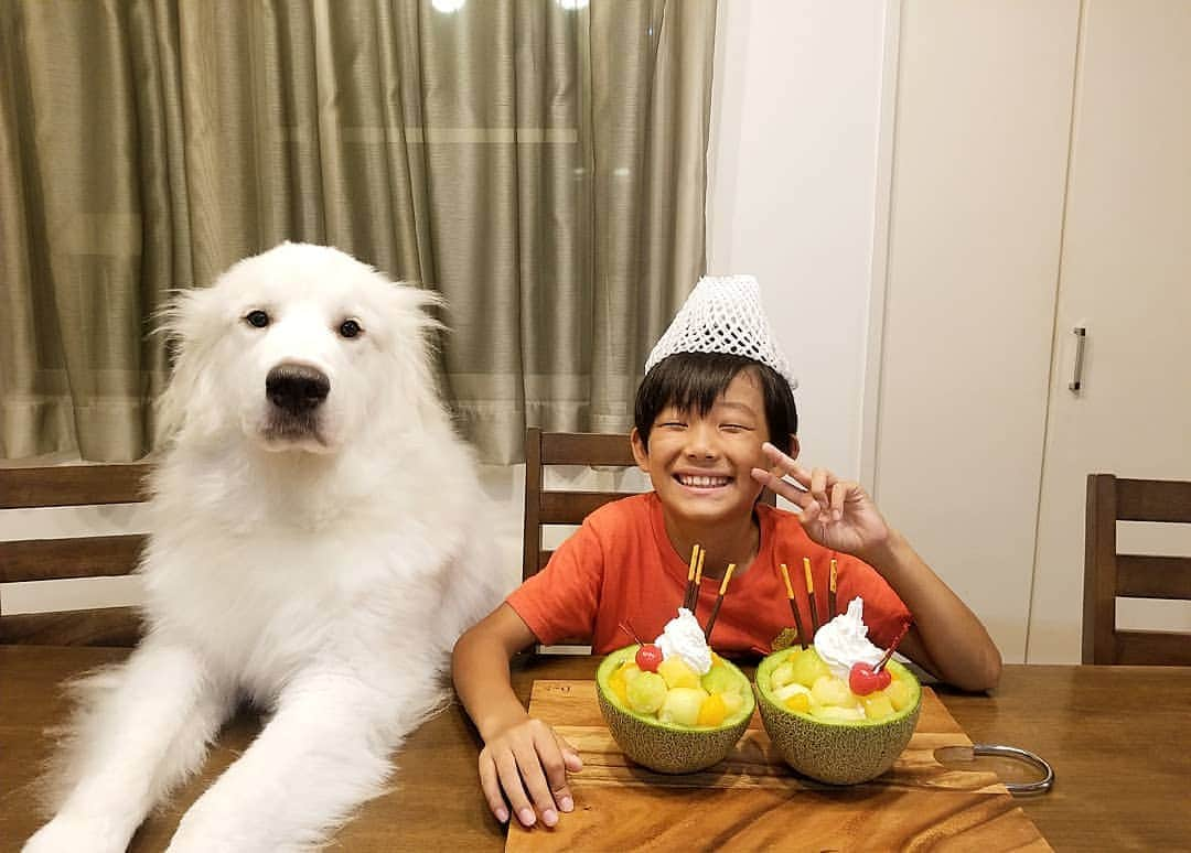 赤崎あかりのインスタグラム：「. . 今宵は我が家の頑張りマン4男坊の9歳のハッピーバースデー🎁🎂🎉 . よく末っ子は甘やかされるって言うけど赤﨑家では残念ながらそんなご優待は特になしw.日々、四男も鬼母ちゃんに鍛えられながら三人の兄ちゃんたちの後を追って本日9歳になりました😌✨ . そんなお誕生日は四男が自分で作ってみたかったメロンパフェ作りからスタート🍈 母ちゃんの仕事帰宅後に皆でプールに行き、一緒に行けなかった長男からも今日は沢山遊んでもらった😁✌ . 最近は空手の成績も伸び悩みがあったりと本人も悔しい気持ちや色んな感情を沢山経験するようなった😌 あえて離す部分も多くなったけど母ちゃんや父ちゃんを含め3人の兄ちゃんに相方の蘭丸さんにと四男には沢山の味方がいる事をこれからも忘れずに🐶✌ 四男坊おめでとう🎂そして元気に育ってくれて本当にありがとう❤️なんだかんだそれが一番嬉しい😌 . . . . . #4兄弟#4兄弟子育て奮闘記 #四男#お誕生日#9歳#お祝い#おめでとう#メロンパフェ#グレートピレニーズ#相方#仲良し#大型犬のいる暮らし#4児ママ#男の子ママ#中学生ママ#小学生ママ#ワーキングママ#子沢山#子育て奮闘中」