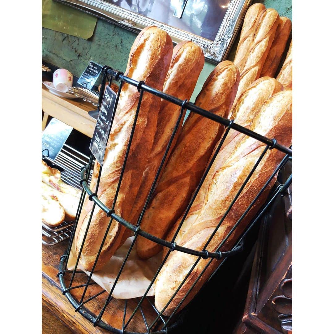 木南晴夏さんのインスタグラム写真 - (木南晴夏Instagram)「明日から始まります！ #パン旅。新シリーズ✨ 今回は、4日連続×2週の計8本をお届けします。 初回の明日は、トクサツガガガで共演した小芝風花ちゃんが遊びにきてくれました。 NHKBSプレミアムにて夜7時からです🍞」9月9日 22時22分 - kinamitopan