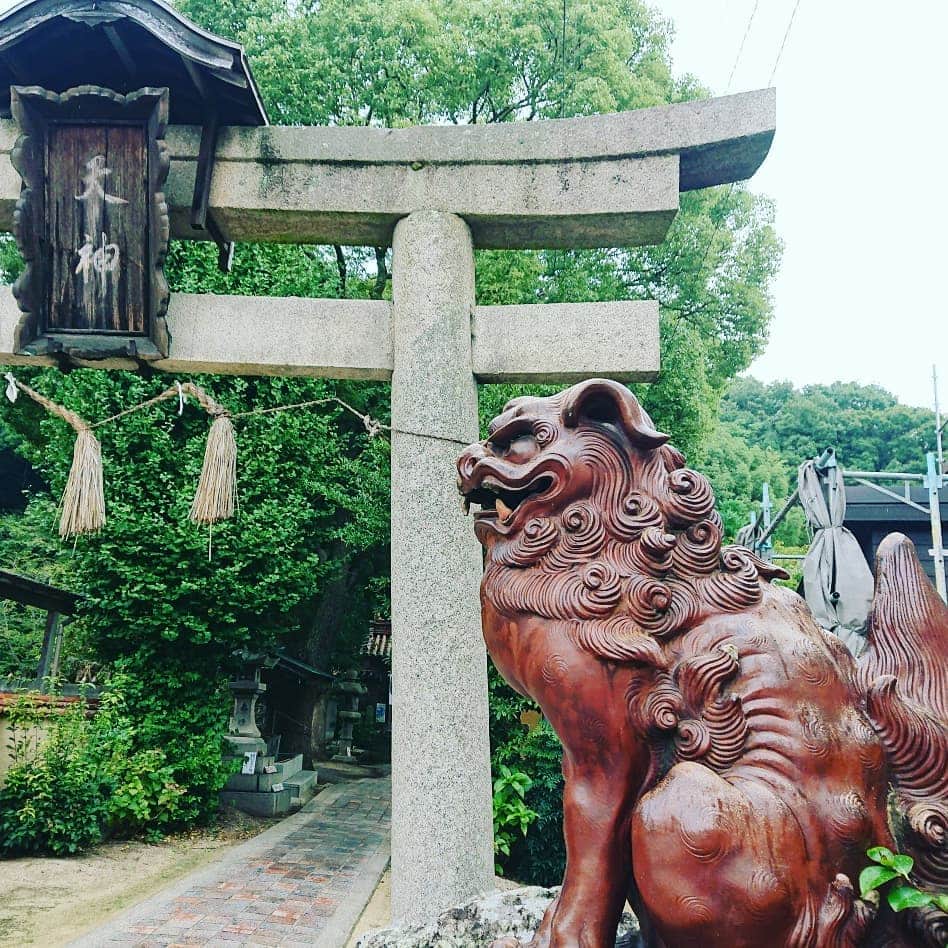 のインスタグラム：「こないだ実家に帰ったとき、ふらりと備前市へ🚙 ・ ・ まずは伊部駅すぐの「備前焼ミュージアム」 無形文化財の作家さんの素晴らしい作品が一堂に会してて、備前焼の歴史や、特徴もこちらで知ることができます👀 ・ 美しくて強い備前焼🌟 ・ ・ 江戸時代に造られた日本最古の庶民学校 #閑谷学校 の瓦にも備前焼が使われています。 ・ ・ 「備前の摺り鉢、投げても割れん。 備前の水がめ、水が腐らん。」 ・ 最強やん(゜Д゜)!! ・ ・ そして備前市といえば、オリックスバファローズ、山本由伸投手、そして頓宮裕真選手の出身地。 特に伊部地区はあっち見ても窯元、こっち見てもギャラリー、伊部小学校の裏の神社の狛犬まで備前焼。 ・ この町のどこに、子ども達が野球してても怒られん場所あんの？？ってぐらいほんとに備前焼だらけに思えるんですが、たぶんボール当たったぐらいでは、壊れんぐらい強いから大丈夫なんかな😁 しかも家が隣同士の二人がプロ野球選手、しかも同じ球団やなんて、岡山の奇跡ぢゃーﾟ+.ﾟ(´▽`人)ﾟ+.ﾟ ・ 「山本投手の球、投げても打たれん。 援護がなくても、くさらん。」 「頓宮選手も、備前焼のようなかたくて強い心で、1日も早くケガを治してがんばってほしい(>人<;)」 ・ 喫茶コーナーが併設されてる窯元「山麓窯」で、そんなことを考えながら備前焼のカップでおいしいコーヒーをいただいて☕ ・ 一人でのんびり時間を過ごすつもりが、 この後、地元のおばちゃん二人がやってきて、１時間以上、世間話を聞くことになるとは😂 旅の醍醐味ですな😁 ・ ・ 備前市、電車でも車でも関西から充分日帰りできる距離ですし、おいしいものもいっぱいあるよ😋 ・ ・ ・ あぁ、、、私も、腐らんと応援しますから、、、バファローズ、9月、、、はよ勝ってください( ˙ཫ˙ ) ・ ・ #岡山県 #岡山県備前市 #備前市 #okayama #bizen #伊部駅 #備前焼ミュージアム #備前焼 #閑谷学校 #特別史跡旧閑谷学校 #窯元 #山麓窯 #オリーブロールケーキセット #岡山観光 #備前観光 ・ #がんばれがんばれバファローズ！！ ・ #オリックスバファローズ #山本由伸 投手  #頓宮裕真 選手」