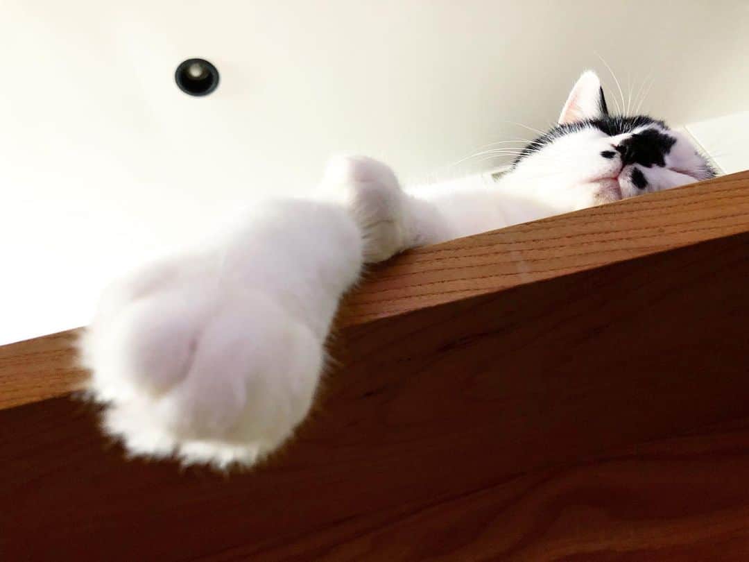 山本浩未さんのインスタグラム写真 - (山本浩未Instagram)「フランス人に習ってウチにはソファーがありません。ので時々、テーブルの下に寝っ転がってます。フッと見上げたらもへじの手。デカイ😆」9月10日 0時05分 - hiromicoy