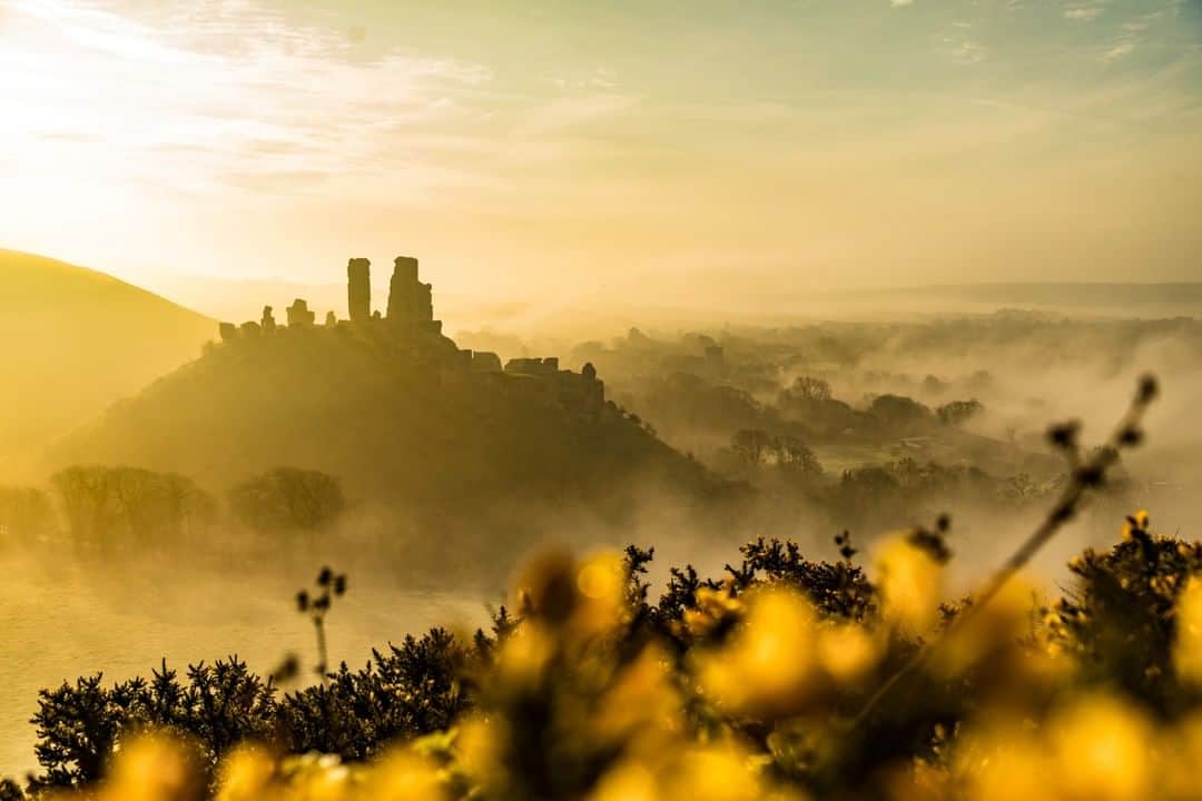 Canon UKさんのインスタグラム写真 - (Canon UKInstagram)「Who can tell us where @lucy.rebecca.photography captured this shot? (And for those of you who could be tempted to spy on its location in Lucy's original post, we see you 😉). Camera: EOS 5D Mark IV | Lens: EF 24-105mm f/4L IS USM | Shutter Speed: 1/800 | Aperture: f/4.5 | ISO 100」9月10日 0時45分 - canonuk
