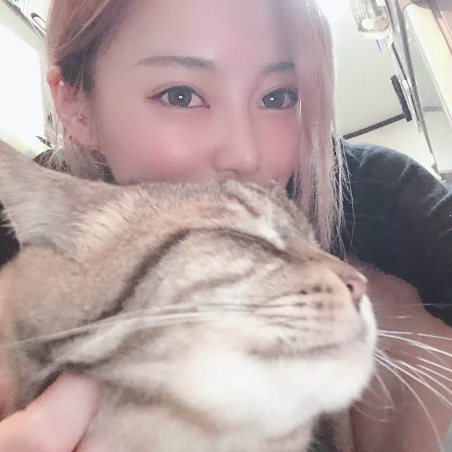 エリナさんのインスタグラム写真 - (エリナInstagram)「뮤타로 랑 셀카❤️ ミュータローと😺 #selfie #cat#instapic #instagood #instalike #happy#me#猫#ねこ#日本」9月10日 0時55分 - erina_hrn