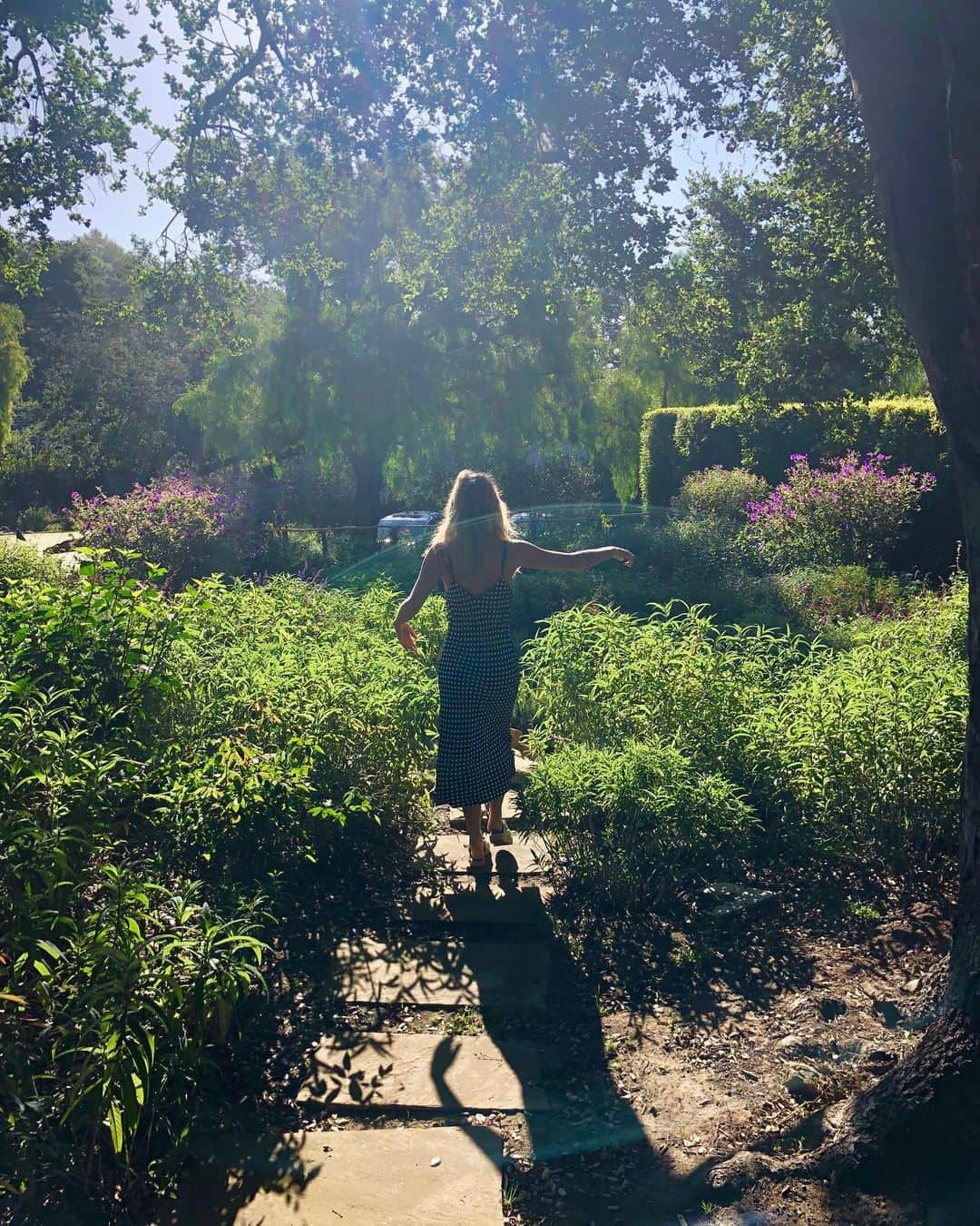 アナベル・ウォーリスのインスタグラム：「California you are a beauty.」