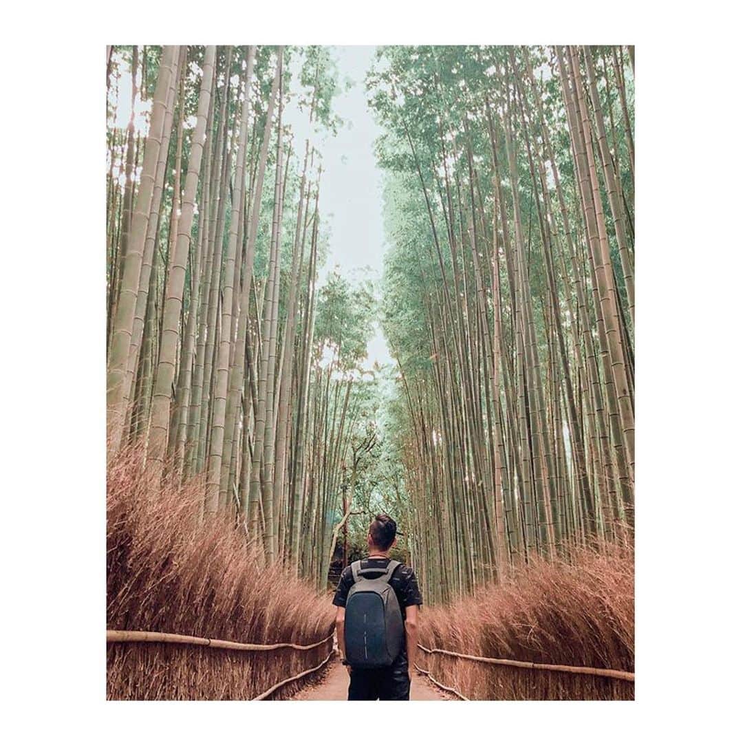 XD Designさんのインスタグラム写真 - (XD DesignInstagram)「Bobby Compact at the Arashiyama Bamboo forest 🌿 — One of Kyoto's must see places! #Japan 🇯🇵 ⠀⠀⠀⠀⠀⠀⠀⠀⠀ Photo shared by @_shaunn23_ ⠀⠀⠀⠀⠀⠀⠀⠀⠀ ⠀⠀⠀⠀⠀⠀⠀⠀⠀ • • #xddesign #madeformodernnomads #bobbybackpack #xddesignbobby #bobbycompact #antitheftbag #travelers #bamboo #packandgo #travellifestyle #travelgear #photooftheday #journey #globetrotter #keepexploring #modernnomad #gotyourback #travelmore #digitalnomad #doyoutravel #thetraveltag #travelfun #adventureseekers #adventuretraveler #passportlife #wanderlust #kyoto #arashiyama #arashiyamabambooforest」9月10日 1時44分 - xddesign