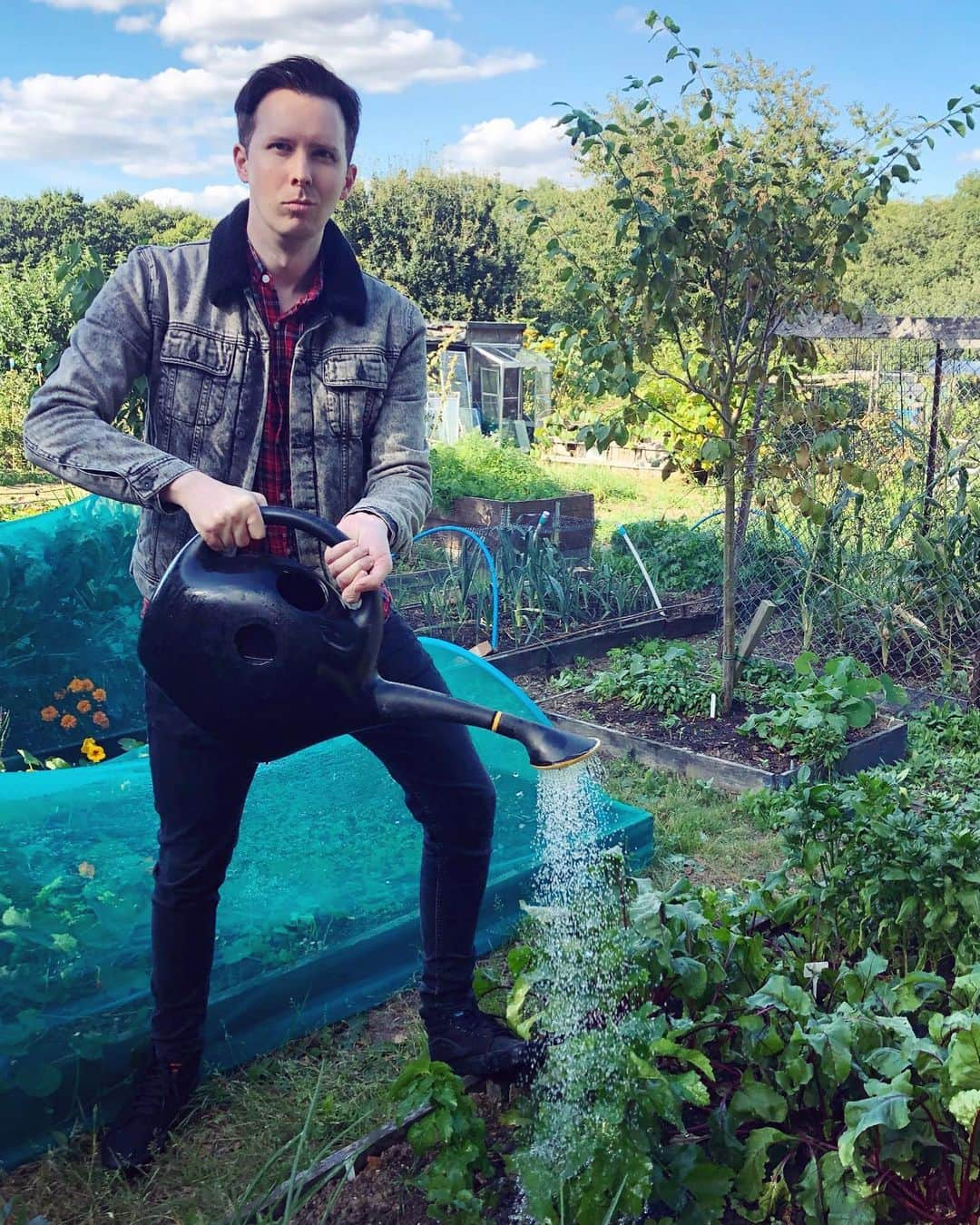 フィル・レスターさんのインスタグラム写真 - (フィル・レスターInstagram)「My crops are thriving」9月10日 2時23分 - amazingphil