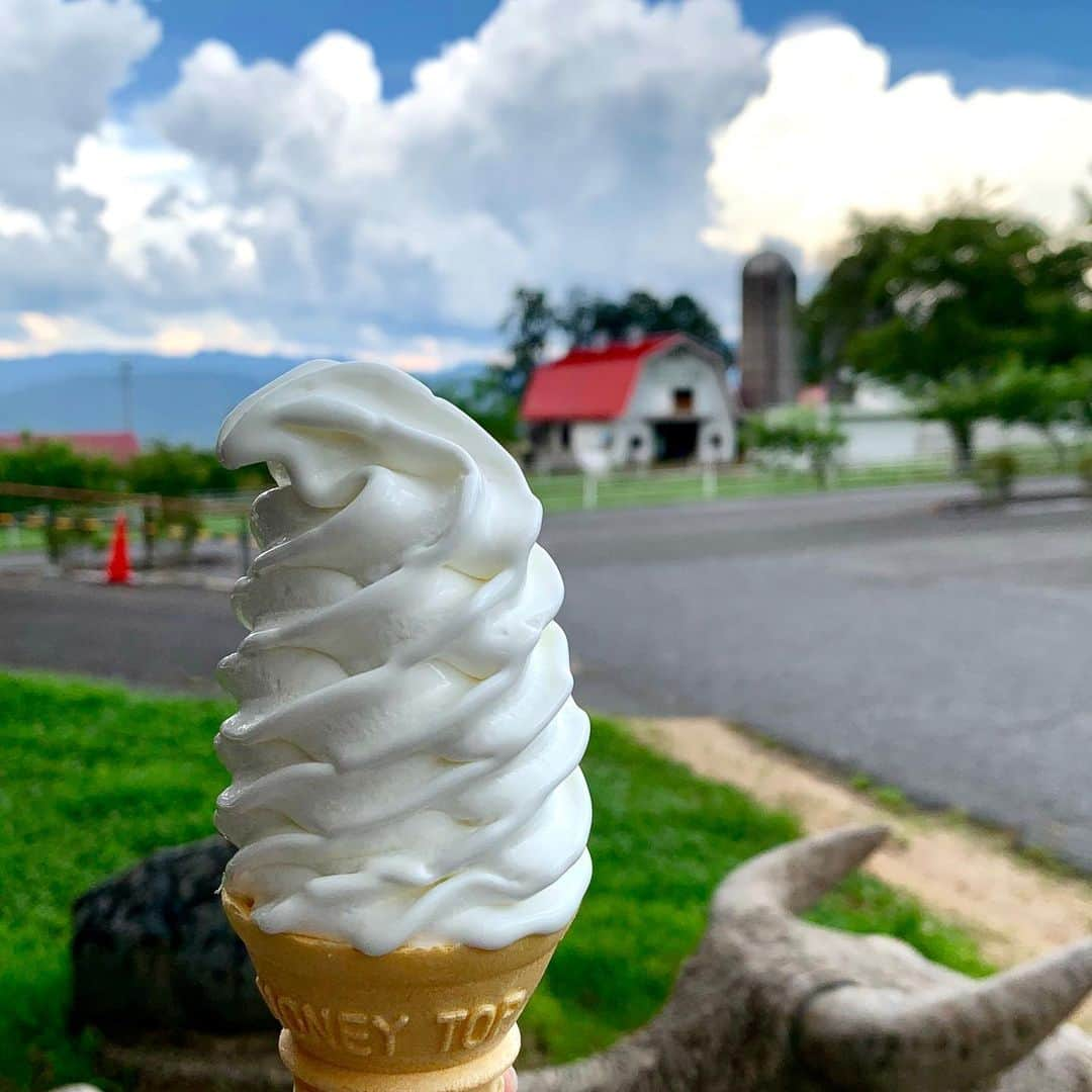 けらえいこさんのインスタグラム写真 - (けらえいこInstagram)「まだ暑いうちに、夏の思い出編。憧れの戸隠〜安曇野。 ⛰大学２年の時、体育で「登山」という授業を選択できた。初めて登った穂高で、お弁当は味噌パンひとつだった。麓のソフトクリーム屋さんで見かけて懐しむ☺️ 🍦 ⛰ #穂高 #北アルプス #みそぱん #鏡池 #そばの実 #新幹線のキスシーンはホームから見かけただけのやつ」9月10日 13時20分 - keraeiko