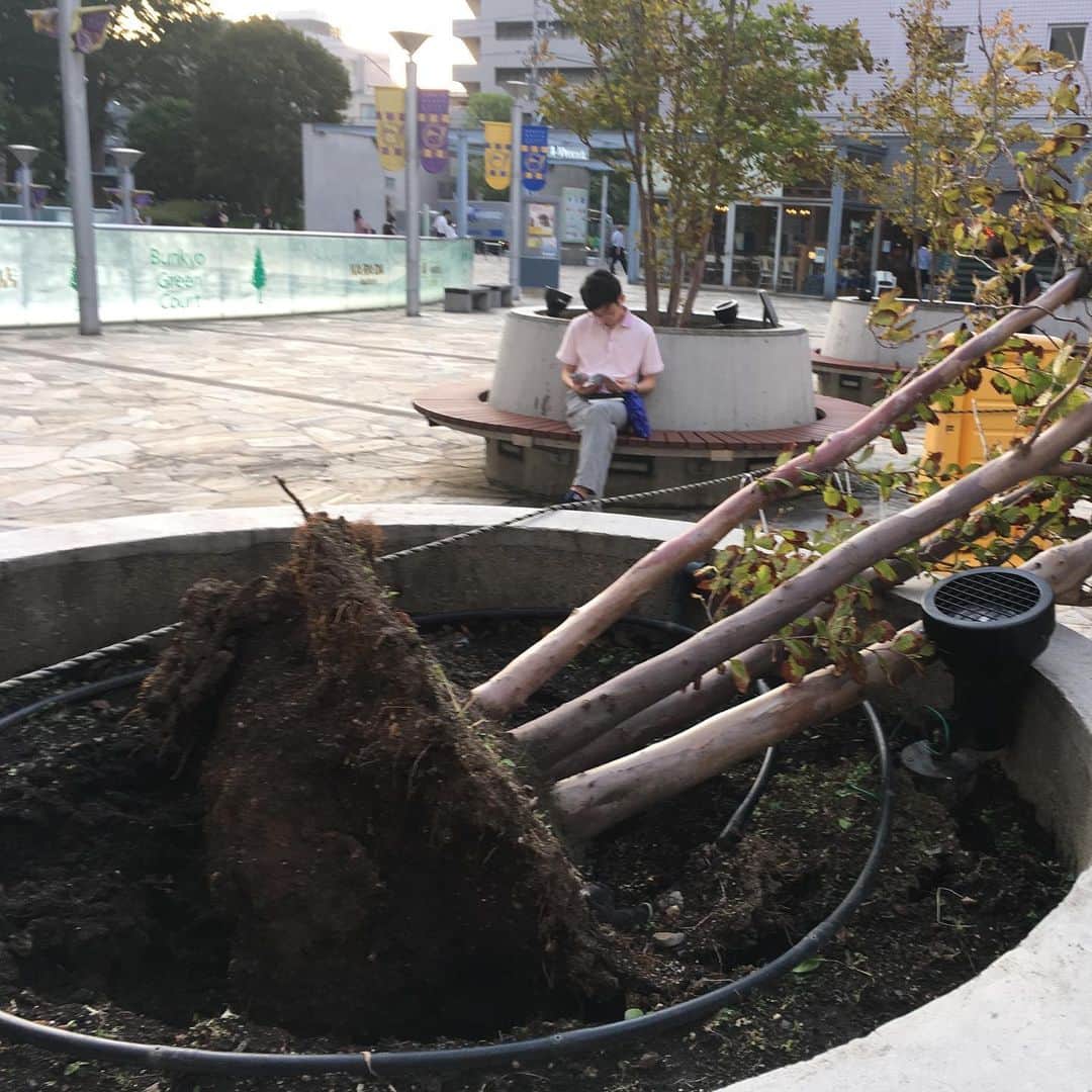 小川永子のインスタグラム：「台風15号。都内でもあらゆる場所で被害を目の当たりにしました。植木が根こそぎやられていたり、塀が崩れていたり、そんな中、市原の皆さまは停電が未だ続いています。一日、１秒でも早い復旧を心から願っています。  #市原 #アナウンサー #台風15号」