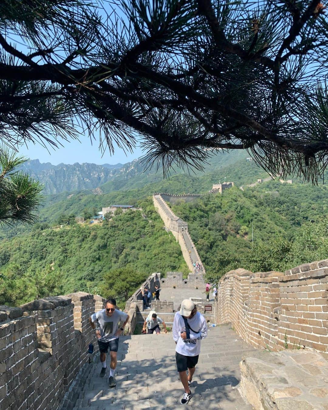 藤森由香さんのインスタグラム写真 - (藤森由香Instagram)「🇨🇳 #greatwall #しつこく投稿 #china」9月10日 13時52分 - yukafujiforest