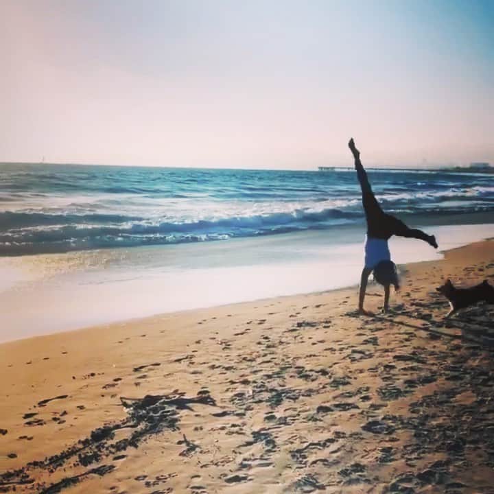 ブルック・バトラーのインスタグラム：「You never know when it’s your last day...so be kind, smile, laugh, do the cartwheel, breath in the salty air, and take your dog to the beach 🐾」