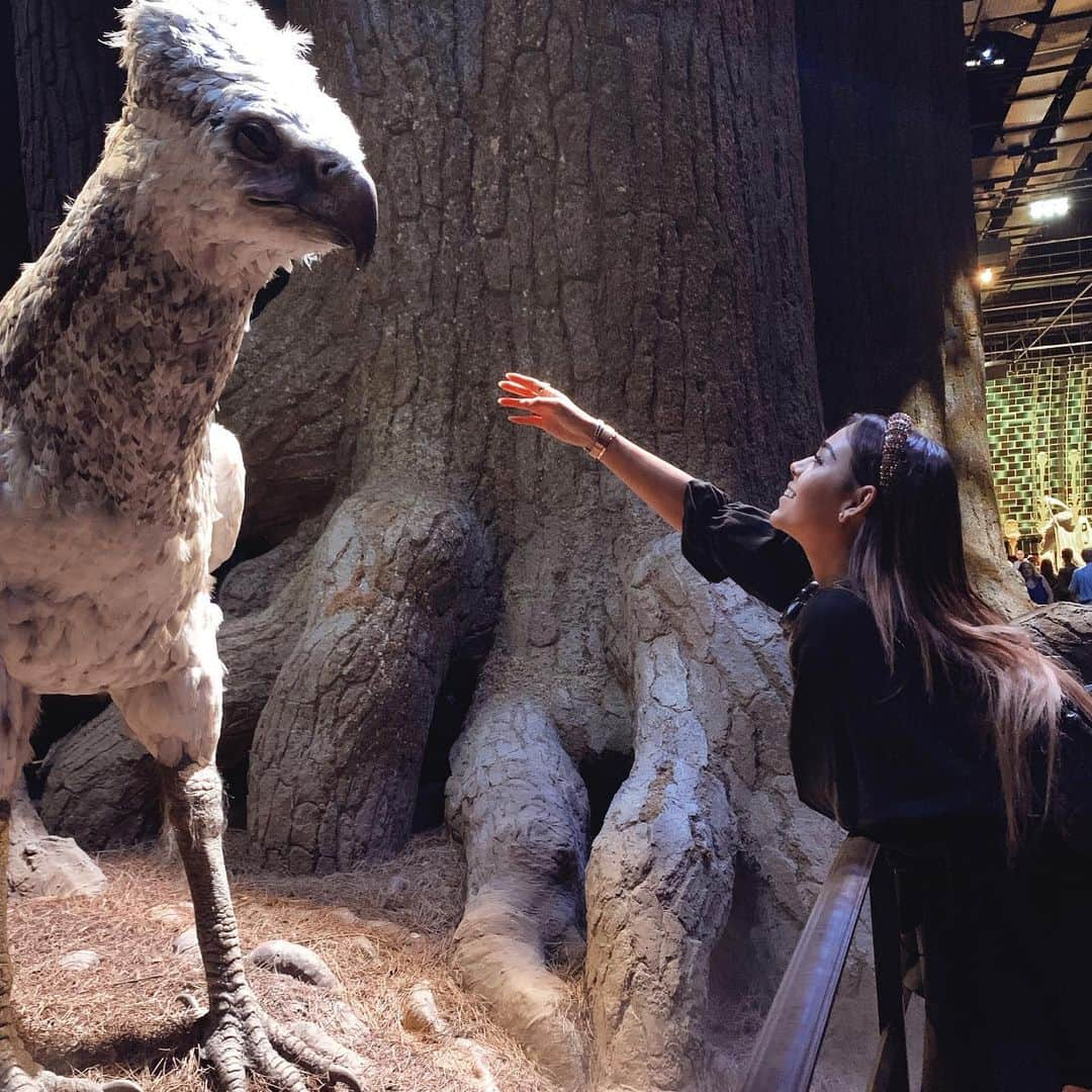 Danna Paolaさんのインスタグラム写真 - (Danna PaolaInstagram)「Believe in magic... always 🔮#potterhead」9月10日 6時48分 - dannapaola