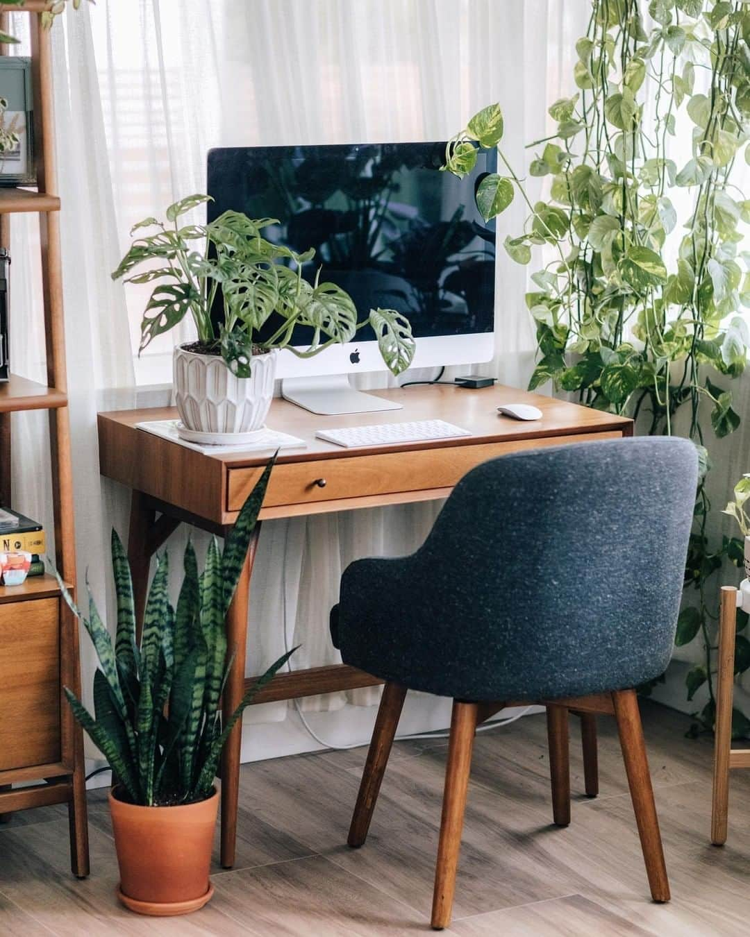 west elmさんのインスタグラム写真 - (west elmInstagram)「Plants make good study buddies, don't you think? (📷: @planta.fauna) #backtoschool #mondaymotivation #plantjungle #homeoffice」9月10日 7時39分 - westelm