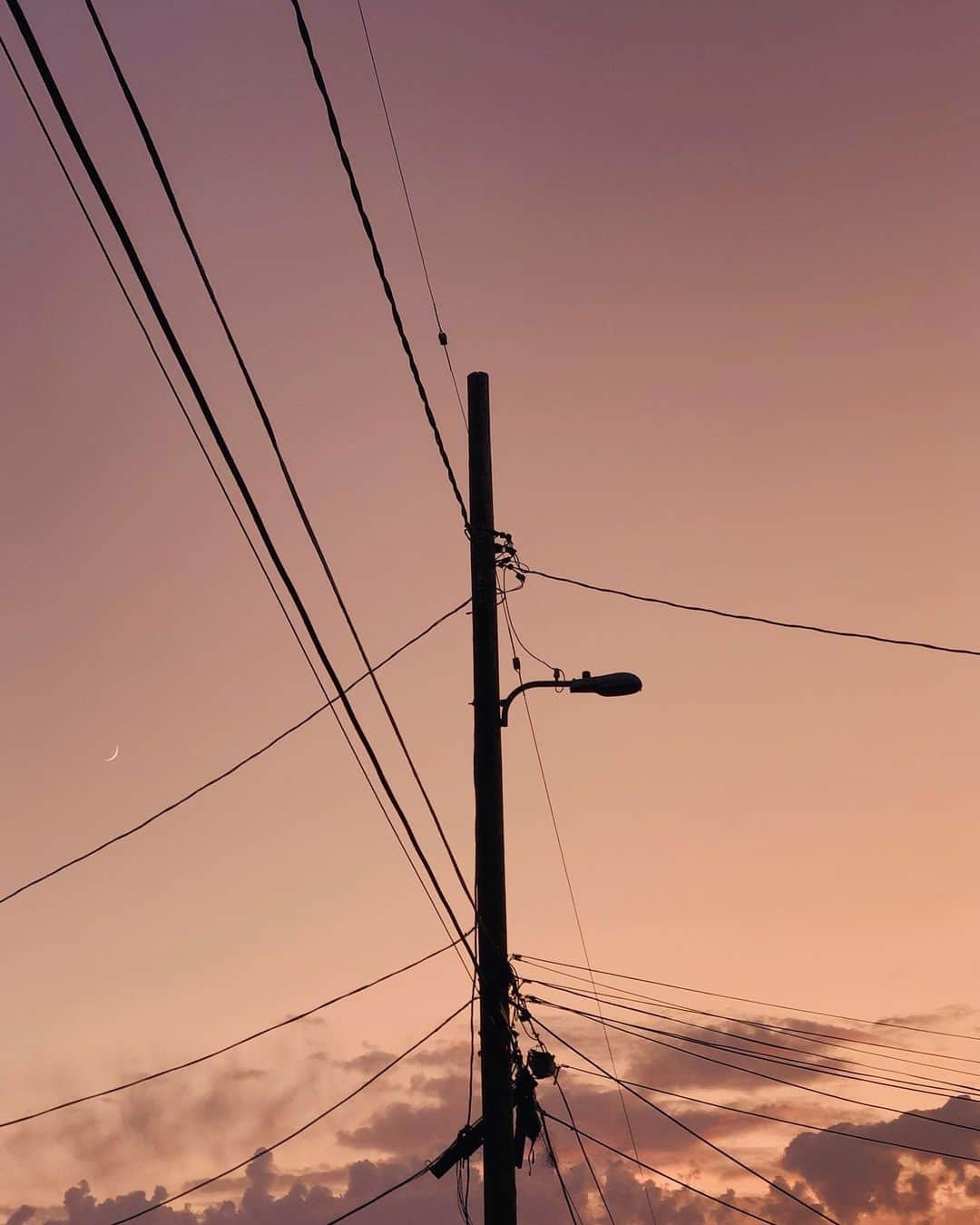 のインスタグラム：「‪im always out for a walk around this time, can you blame me?‬」