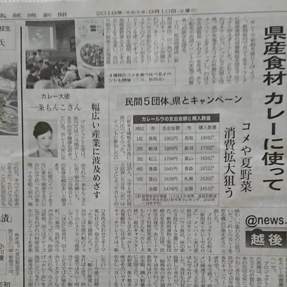 一条もんこさんのインスタグラム写真 - (一条もんこInstagram)「新潟をカレー県に。  本日の日経新聞新潟版にて、新潟カレー県化について取材を受けています。  佐渡汽船カレーの事例を元に、今後は各市町村のカレー事業開発を手掛ける予定です。 新潟県を中心としていますが、県外の町おこしカレー開発も積極的に行っていこうと思います。県内外での活動をすることでカレーとカレーで街どうしの交流が持てることを目指します。  また、レシピ開発だけでなく、カレーに関わりを持たせることで飲食業界だけでなくその他の産業も活性化できると考えています。 それだけカレーは多様性があり柔軟な料理なのです。 #カレー#curry#日経新聞#新潟版#町おこし#産業活性化#カレー開発#レシピ開発#ご当地カレー#一条もんこ」9月10日 8時39分 - monko1215