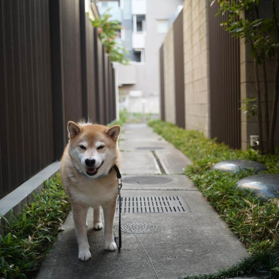 まる（まるたろう）のインスタグラム