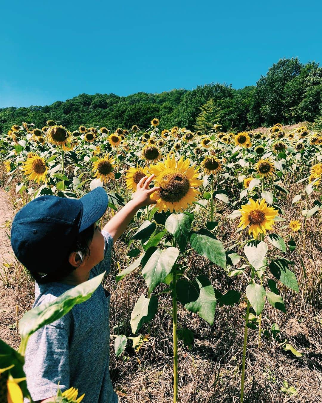 宇藤えみさんのインスタグラム写真 - (宇藤えみInstagram)「会津にはまだ少しだけ 夏のいろ がありました🌻 顔真っ赤にして 落ちているひまわりの花びらを 集める息子。 来年満開の時に来たいなぁ。 それにしても今日も暑い☀️ #会津#夏の景色」9月10日 11時16分 - emiuto