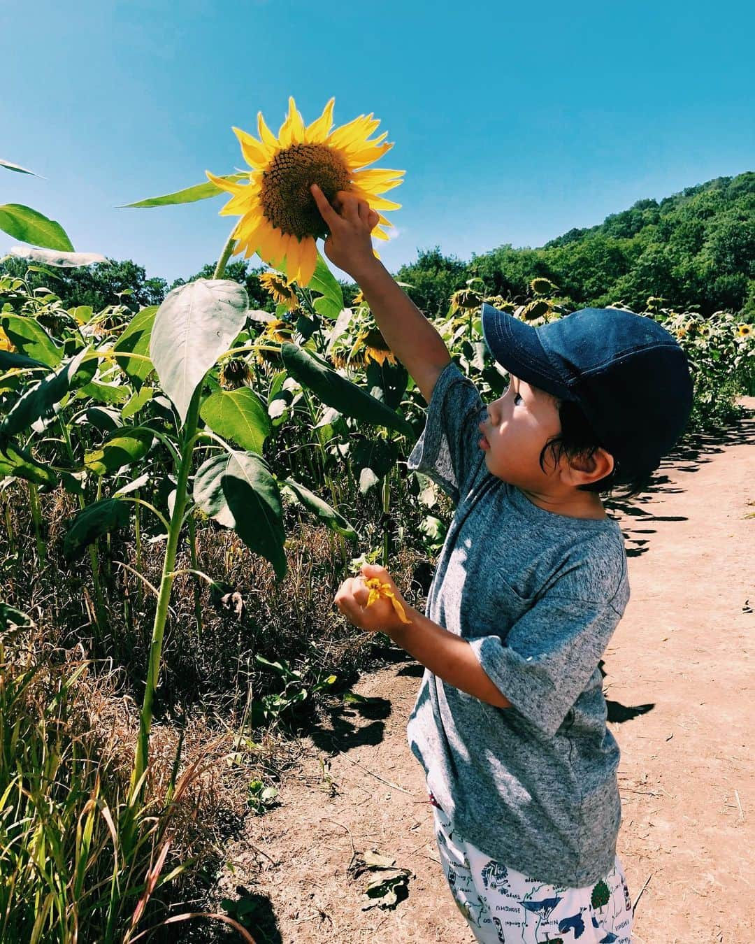 宇藤えみのインスタグラム