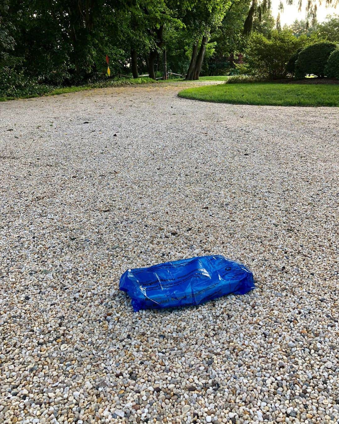 スーザン・ルッチさんのインスタグラム写真 - (スーザン・ルッチInstagram)「Back to reality—summer’s over!  Newspaper delivered on the driveway☺️🍁🌻」9月10日 22時30分 - therealsusanlucci